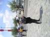 Nordtr_2012_FM_022~0.JPG
